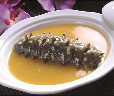 金汤小(xiǎo)米海参