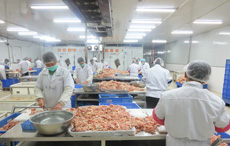 舜泰專業團隊
